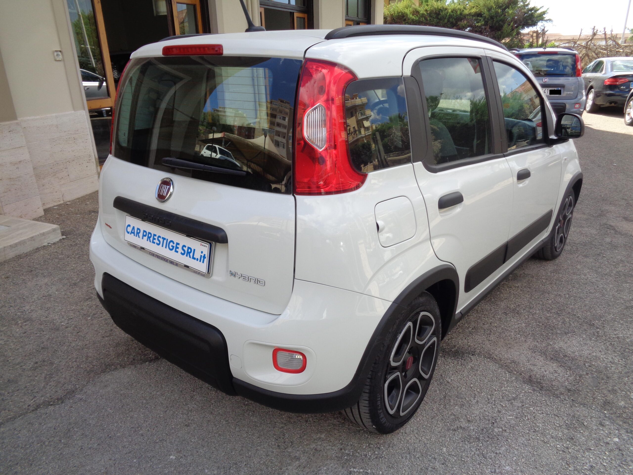 FPandaBianca2022 (4)